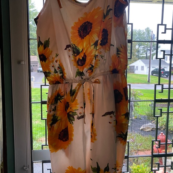 Shorts/ romper - Picture 2 of 4